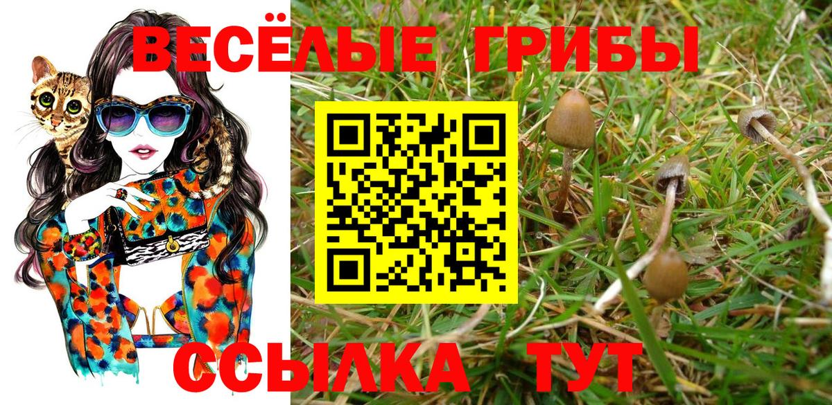 Галлюциногенные грибы мухоморы Надым