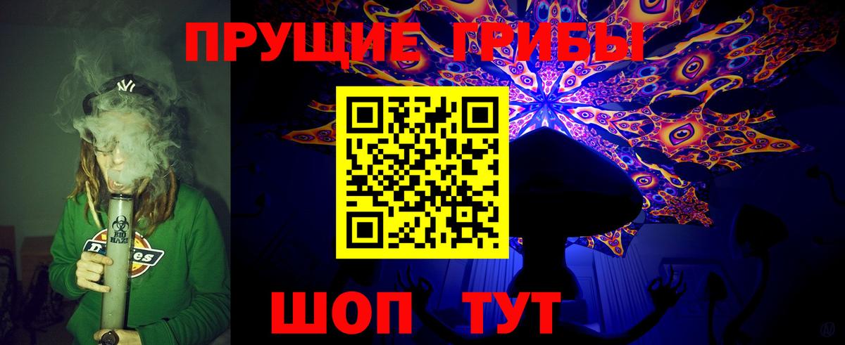 где можно купить наркотик  Вход с VPN  Надым  Псилоцибиновые грибы GOLDEN TEACHER 